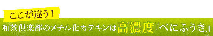 ここが違う！和茶倶楽部のメチル化カテキンは高濃度「べにふうき」