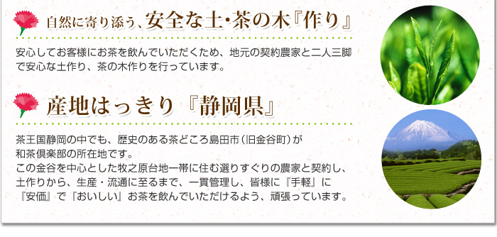 自然に寄り添う、安全な土・茶の木作り