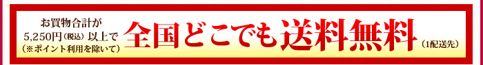 全国どこでも送料無料