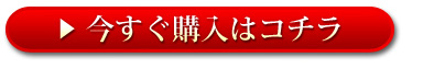 今すぐ購入はコチラ