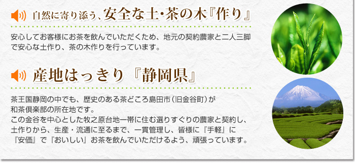 自然に寄り添う、安全な土・茶の木　作り