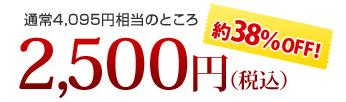 通常4095円相当のところ