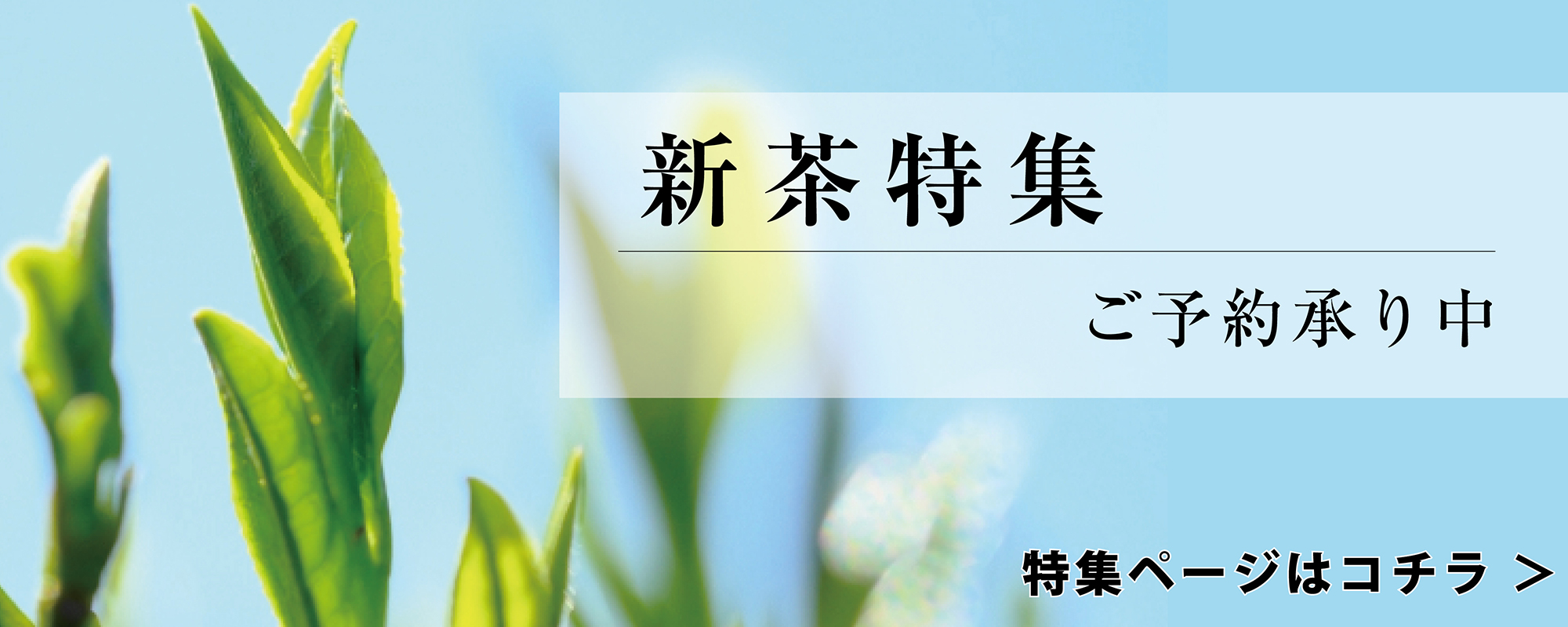 新茶予約
