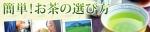 お茶の選び方